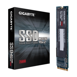 GIGABYTE M.2 PCIe 256GB SSD